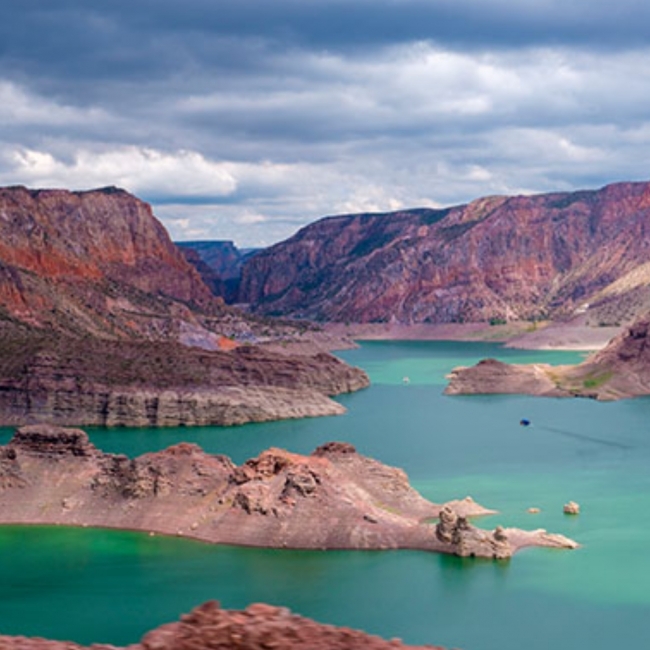 Mendoza: Bus Vitivin�cola y Bodegas con Vuelos Incluidos